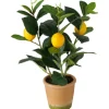 Boltze Topfpflanze Zitrone 32 cm x ø 22 cm Grün-Gelb