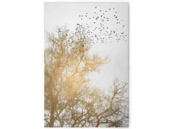 Bricoflor Baumkronen Bild Gold Weiß Leinwandbild Mit Vögeln In Baum Romantisches Wandbild Ideal Für Schlafzimmer Und Flur 60 X 90
