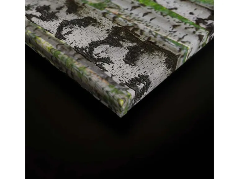 Bricoflor Bild Auf Leinwand Birkenwald Grün Weiß In 120 X 80 Cm Wald Wandbild Für Schlafzimmer Und Wohnzimmer Birken Leinwandbild