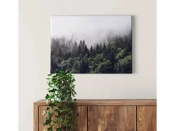 Bricoflor Bild Mit Wald In Nebel Tannenwald Bild Auf Leinwand Ideal Für Flur Und Schlafzimmer Landschaft Wandbild In Grün Und Weiß Mit Winterwald