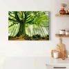 Bricoflor Bild Mit Wald Und Sonnenstrahlen Baum Wandbild In Grün Leinwand Bild Mit Baumkrone Ideal Für Badezimmer Und Schlafzimmer