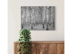 Bricoflor Birkenwald Bild Auf Leinwand In Schwarz Weiß Wandbild Mit Wald Motiv Ideal Für Schlafzimmer Und Flur Glattes Leinwandbild Auf Keilrahmen