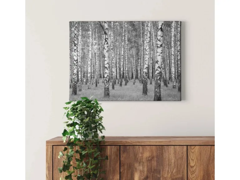 Bricoflor Birkenwald Bild Auf Leinwand In Schwarz Weiß Wandbild Mit Wald Motiv Ideal Für Schlafzimmer Und Flur Glattes Leinwandbild Auf Keilrahmen