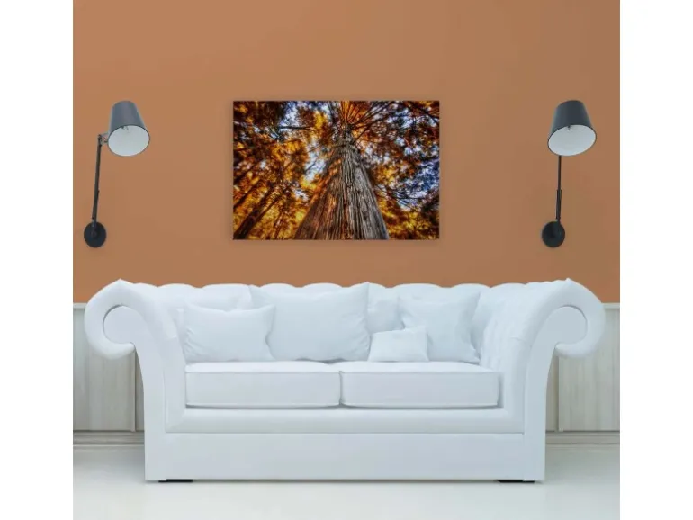 Bricoflor Herbstbild Auf Leinwand Baumkronen Bild Orange Blau Für Wohnzimmer Und Büro Leinwandbild Mit Herbstwald In 90 X 60 Cm