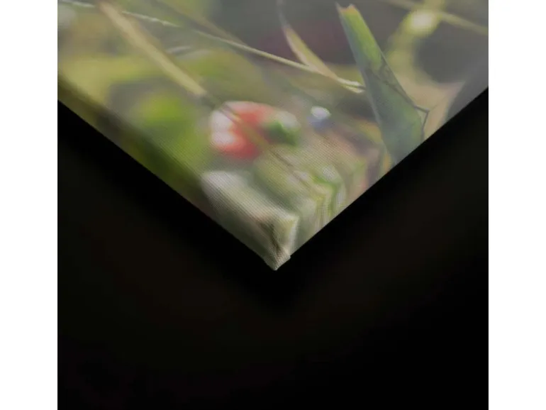 Bricoflor Leinwandbild Mit Mohnblumen In Sonne Wandbild Mit Blumenwiese Auf Leinwand Im Landhausstil Für Küche In 90 X 60 Cm