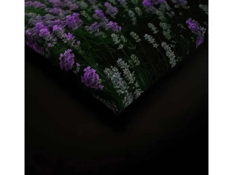 Bricoflor Leinwandbild Mit Lavendel Blau Lila Für Schlafzimmer Und Badezimmer Wandbild Lavendelfeld In Sonnenuntergang Romantisch