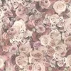 Bricoflor Rosen Tapete in Rosa Vintage Blumentapete im Shabby Chic Ideal für Schlafzimmer Romantische Rosentapete in Altrosa und Creme