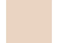 CREATE! by OBI Lieblingsfarben Wandfarbe Jesper Sandbeige matt 2,5 l