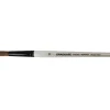 Daler-Rowney Graduate Verwaschpinsel Pony & Synthetische Fasermischung 18
