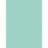 d-c-fix Selbstklebefolie Uni Lack mint 45cm x 2m