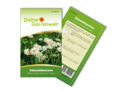 Deine Gartenwelt Gänseblümchen Einfach Weiß Samen