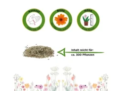 Deine Gartenwelt Gänseblümchen Einfach Weiß Samen