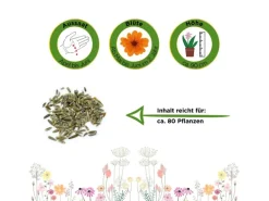 Deine Gartenwelt Margerite Weiß Samen