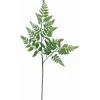 Deko Farnzweig 66 cm Grün