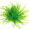 Dennerle Plants Aquariumpflanze Blyxa japonica In-Vitro