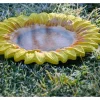 Dobar Insektentränke Fiore 30,5 cm x 30,5 cm x 4 cm Bunt