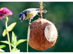 Dobar Vogelfutter-Mix 4 x gefüllte Kokosnuss und 2 x Riesenzapfen mit Fettfutter