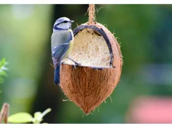 Dobar Vogelfutter-Mix 4 x gefüllte Kokosnuss und 2 x Riesenzapfen mit Fettfutter