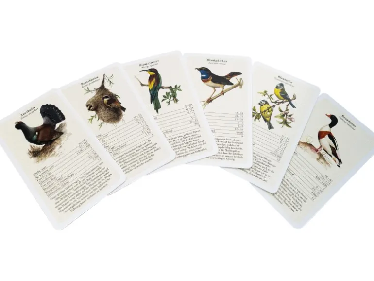 Dobar Vogelquartett Fliegende 9,3 cm x 13,4 cm x 3,5 cm Edelstein