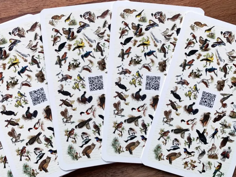 Dobar Vogelquartett Fliegende 9,3 cm x 13,4 cm x 3,5 cm Edelstein