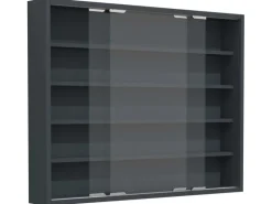ebuy24 AgisaL Glasvitrinen Wandhängend 2 Schiebetüren Anthrazit
