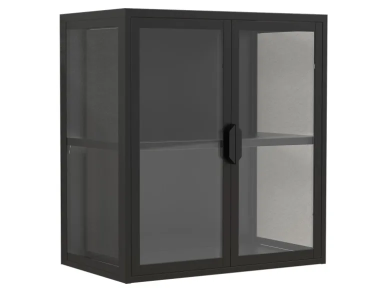 ebuy24 FlokasVS Vitrinenschrank Wandhängend 2 Türen Schwarz