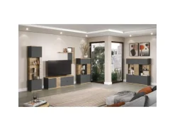 ebuy24 Norris1 Vitrinenschrank Grau Eiche Dekor