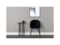 ebuy24 Skagen Esszimmerstuhl Velour Schwarz