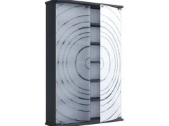 ebuy24 TilanoL Vitrinenschrank CD DVD 6 Ablagen 2 Türen Anthrazit