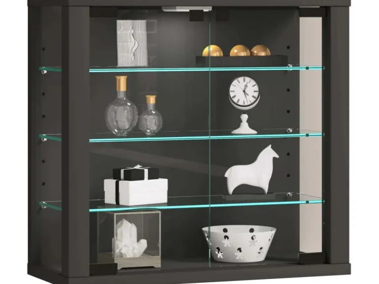 ebuy24 VitrosaS Vitrinenschrank Wandhängend 2 Glastüren Anthrazit