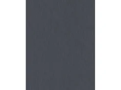 Erismann Vliestapete Guido Maria Kretschmer Fashion for Walls Uni Schwarz