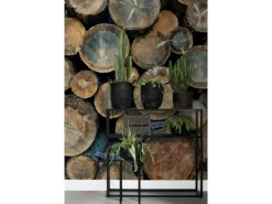 ESTAhome Fototapete Baumstämme Braun 186 cm x 279 cm 158206