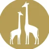ESTAhome Selbstklebende Runde Tapete Giraffen Ockergelb und Weiß Ø 70 cm 158978