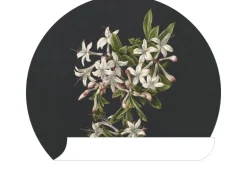 ESTAhome Selbstklebende Runde Tapete Blüte Hellrosa und Schwarz Ø 70 cm 158992