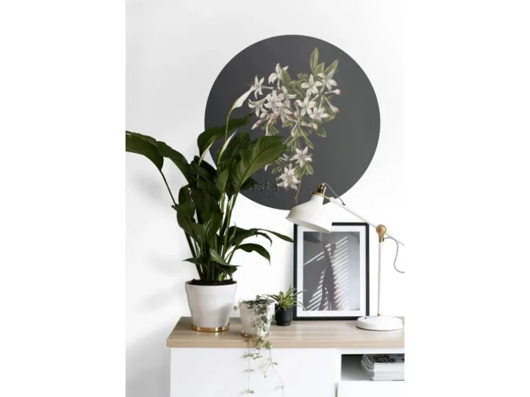 ESTAhome Selbstklebende Runde Tapete Blüte Hellrosa und Schwarz Ø 70 cm 158992