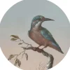 ESTAhome Selbstklebende Runde Tapete Eisvogel Auf Zweig Abendrot Ø 70 cm 158993
