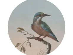 ESTAhome Selbstklebende Runde Tapete Eisvogel Auf Zweig Abendrot Ø 70 cm 158993