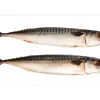 ESTAhome Wandtattoo Fische Grau 97 x 48,5 cm 159040