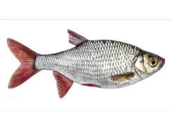 ESTAhome Wandtattoo Fisch Grau und Rot 97 x 48,5 cm 159039