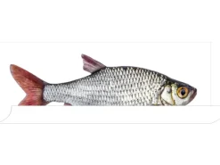 ESTAhome Wandtattoo Fisch Grau und Rot 97 x 48,5 cm 159039