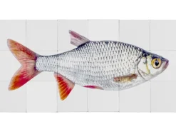 ESTAhome Wandtattoo Fisch Grau und Rot 97 x 48,5 cm 159029