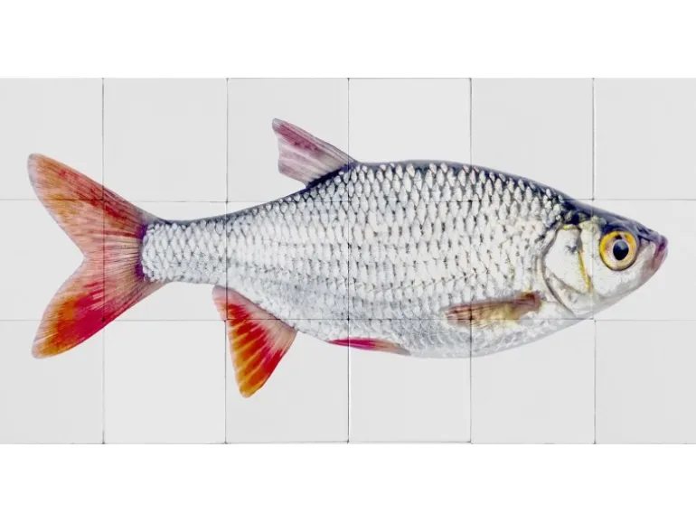 ESTAhome Wandtattoo Fisch Grau und Rot 97 x 48,5 cm 159029