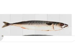 ESTAhome Wandtattoo Fische Grau 97 x 48,5 cm 159030