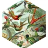 ESTAhome Wandtattoo Vögel Dschungelgrün 70 x 81 cm 158999