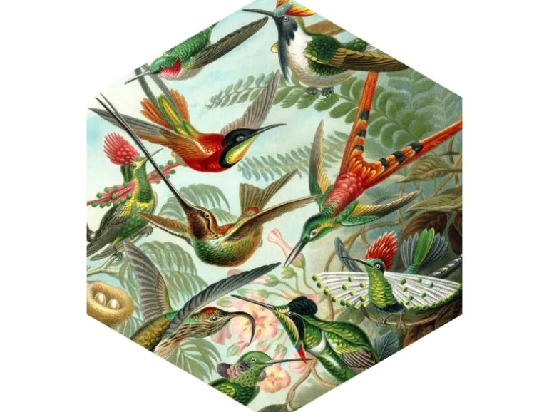 ESTAhome Wandtattoo Vögel Dschungelgrün 70 x 81 cm 158999