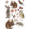 ESTAhome Wandtattoo Waldtiere Braun 47,5 cm x 66 cm 156101