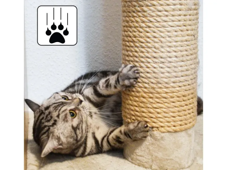 eyepower Ersatz-Sisalstamm für Katzen-Kratzbaum 20 cm Ø 9,2 cm M8