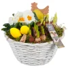 Frühblüher-Arrangement im weißen Korb-Gefäß Topf-Ø ca. 24 cm