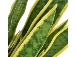 furnicato Künstliche Sansevieria Bogenhanf mit Topf 90 cm Grün