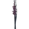 Getrockneter Dekostrauß Lilie Midnight Mystery 95 cm Lila-Schwarz